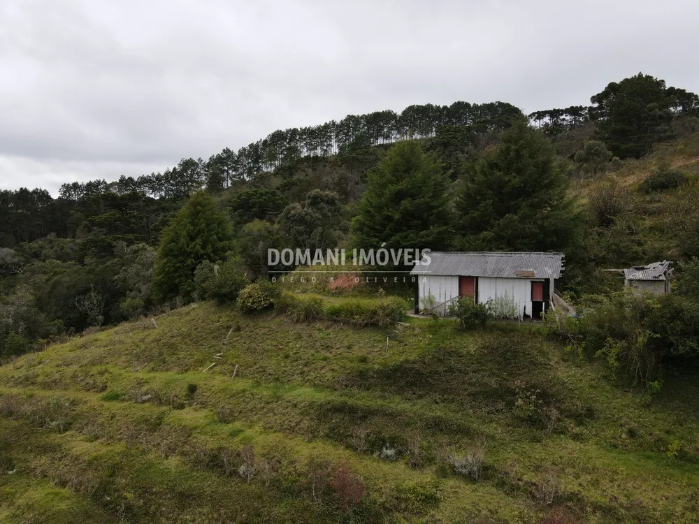 Terreno, 12 hectares - Foto 8