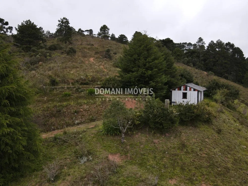 Terreno, 12 hectares - Foto 7