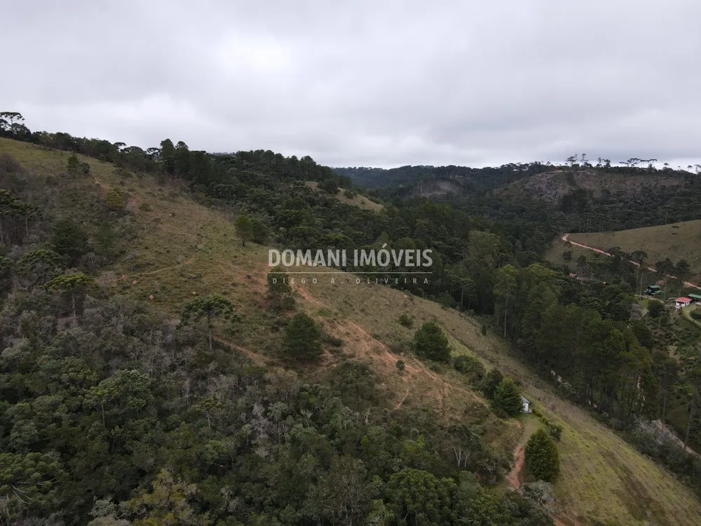 Terreno, 12 hectares - Foto 6