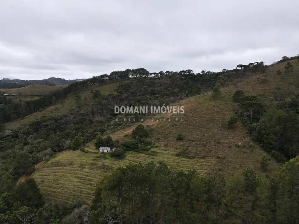 Terreno, 12 hectares - Foto 1