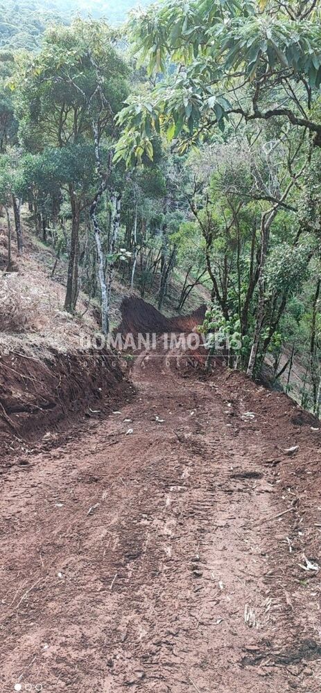 Terreno - Foto 4