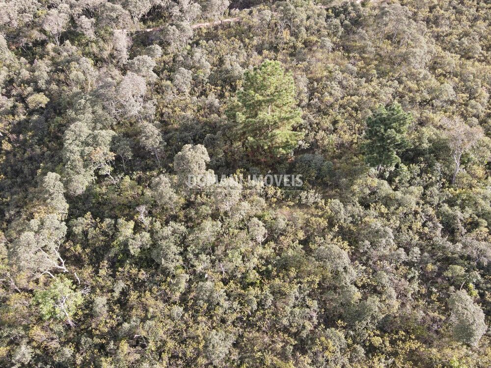 Terreno, 1010 m² - Foto 7