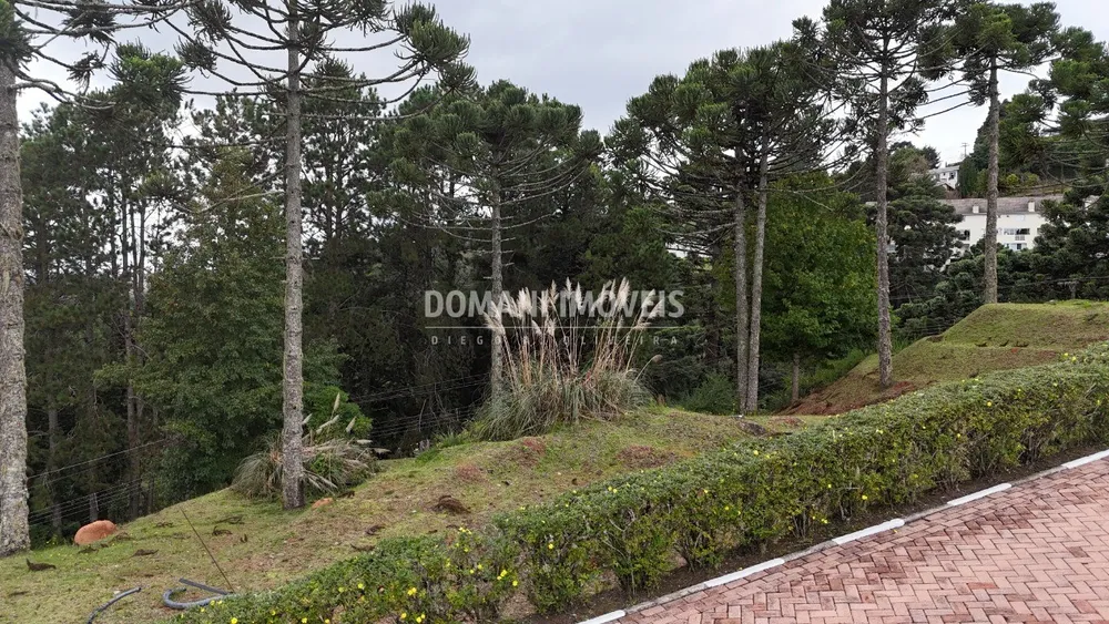 Terreno, 1045 m² - Foto 10