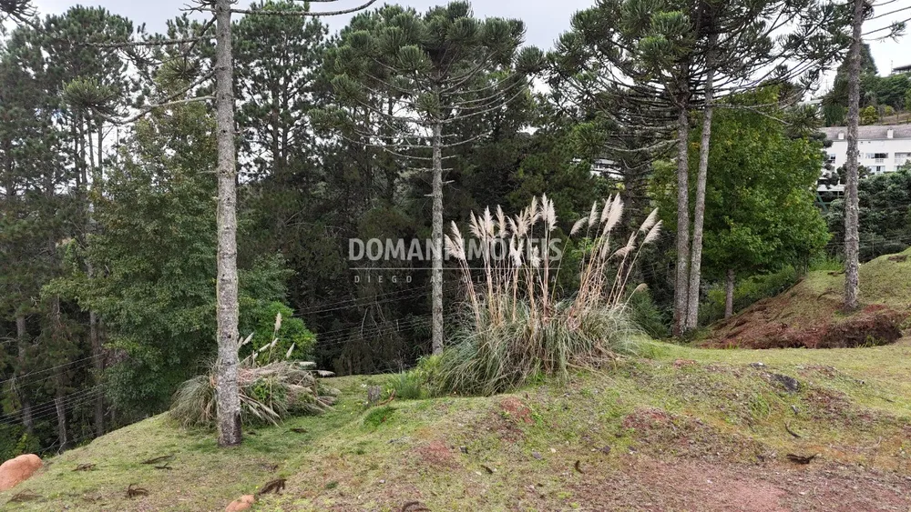 Terreno, 1045 m² - Foto 11