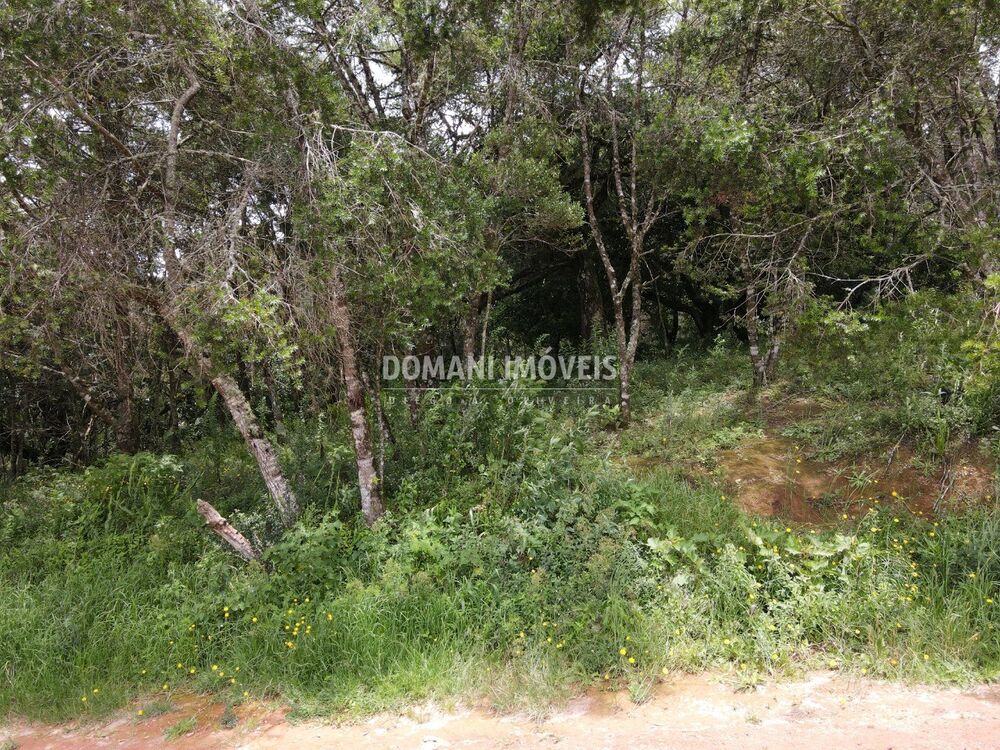 Terreno, 1990 m² - Foto 6