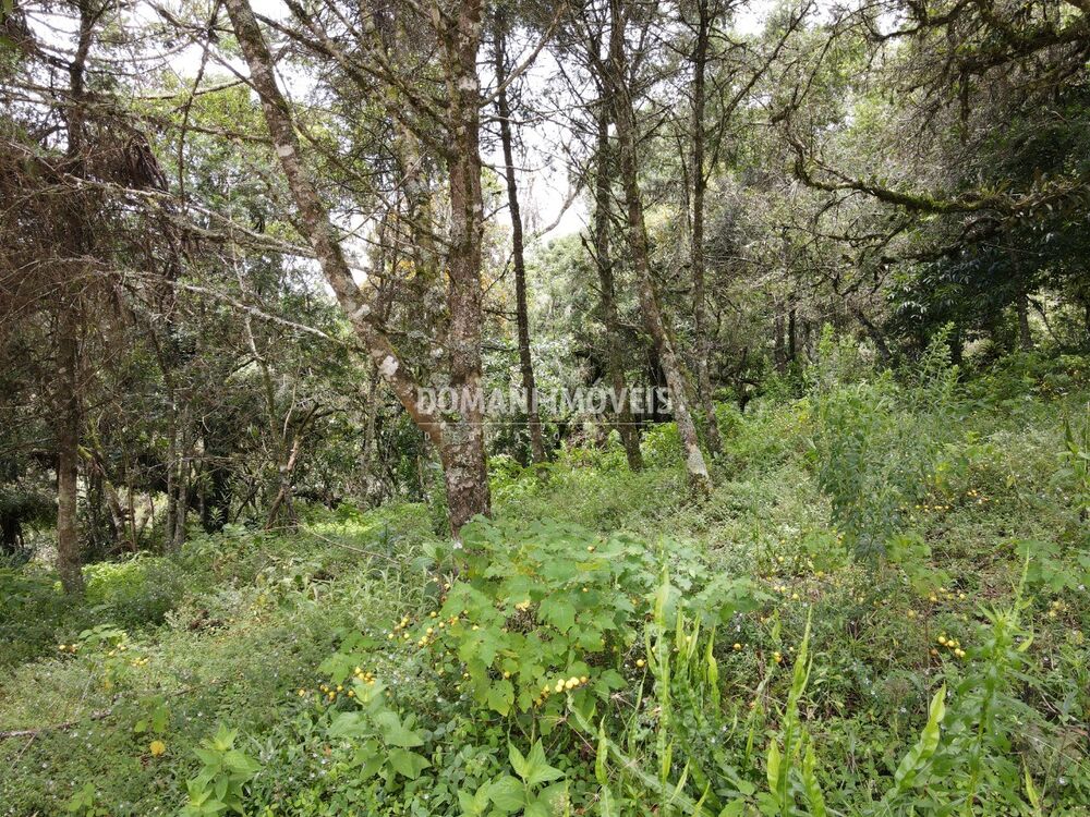Terreno, 1990 m² - Foto 4