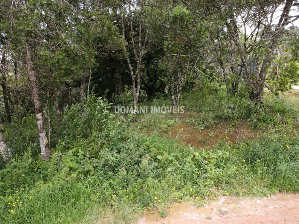 Terreno, 1990 m² - Foto 7
