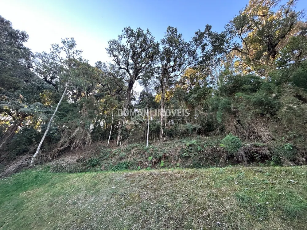 Terreno, 1535 m² - Foto 3