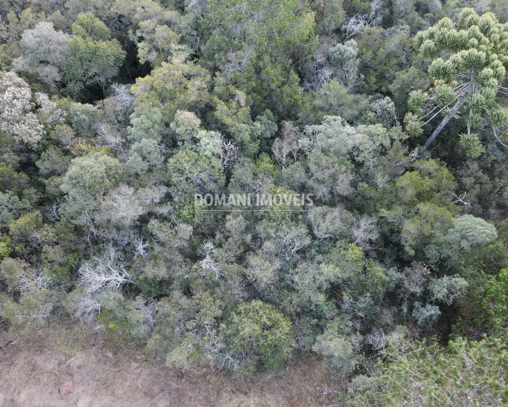 Terreno, 8100 m² - Foto 1