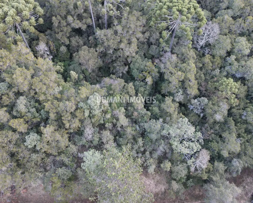 Terreno, 8100 m² - Foto 4