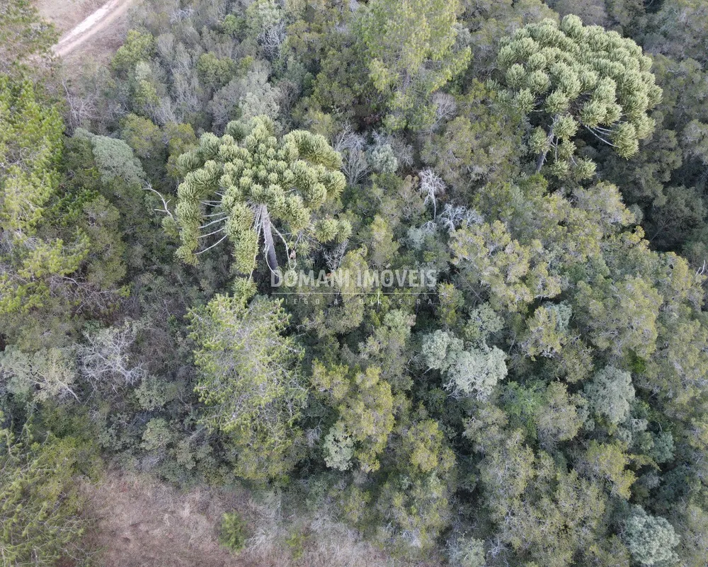 Terreno, 8100 m² - Foto 2