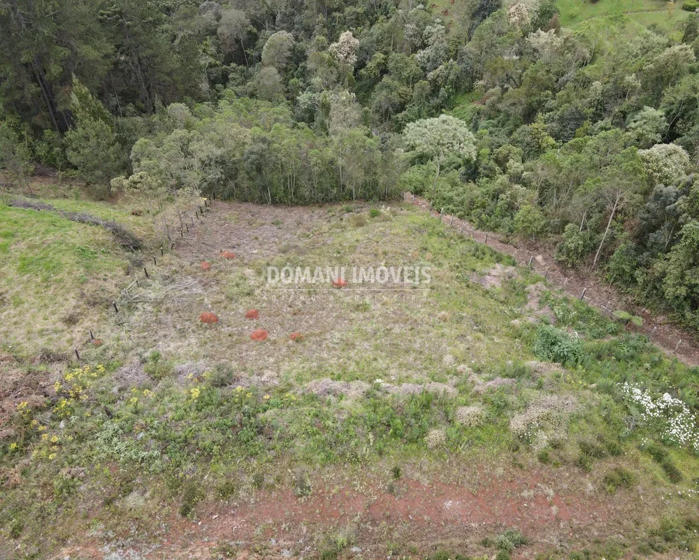 Terreno, 1600 m² - Foto 3