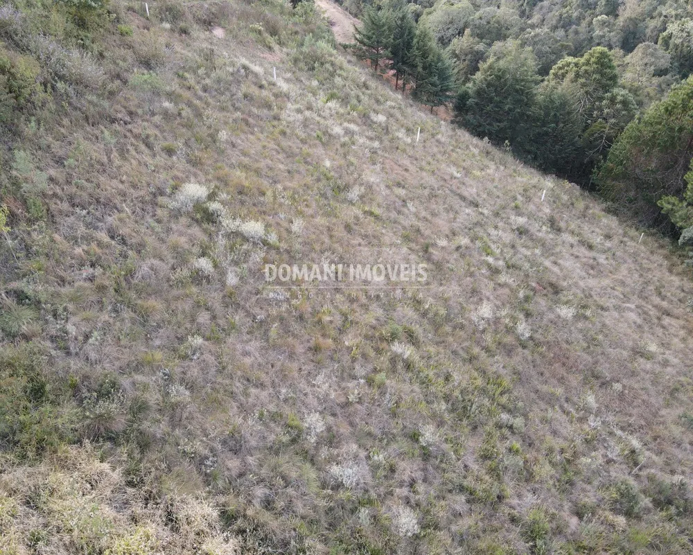 Terreno, 5030 m² - Foto 3