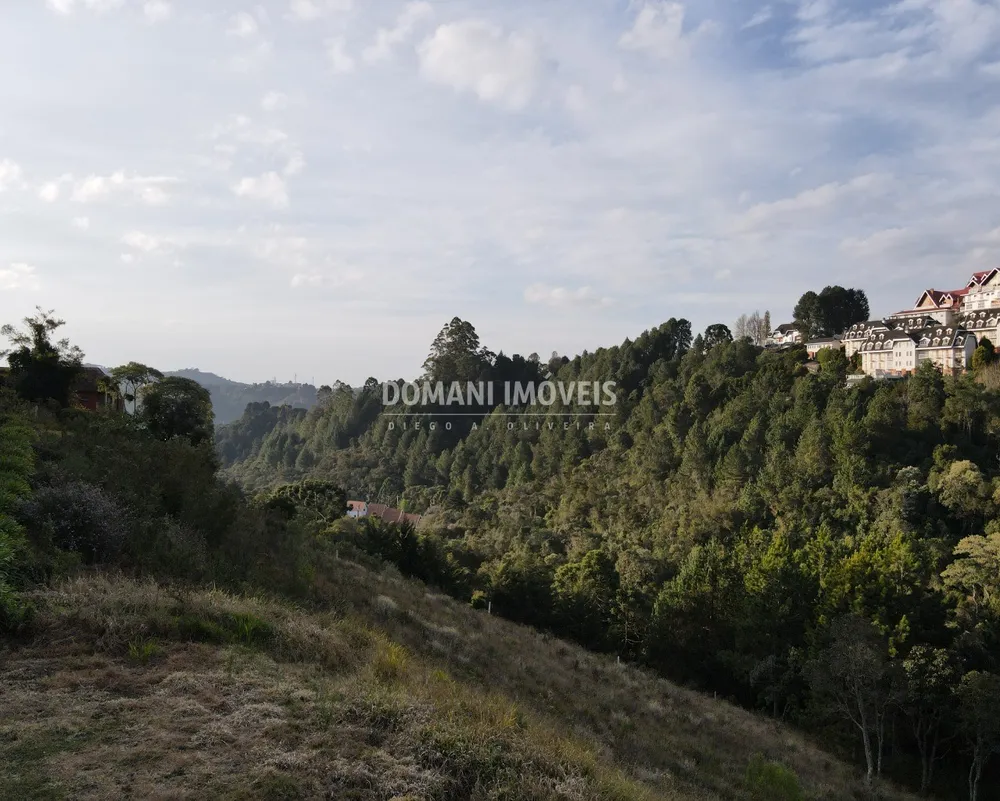 Terreno, 5030 m² - Foto 4