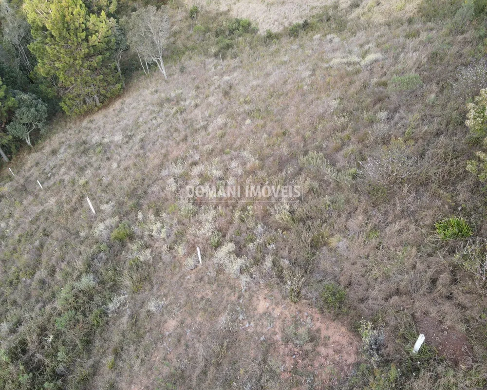 Terreno, 5030 m² - Foto 7