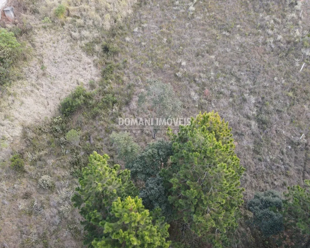 Terreno, 5030 m² - Foto 2