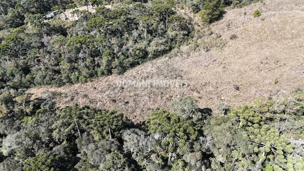 Terreno - Foto 6
