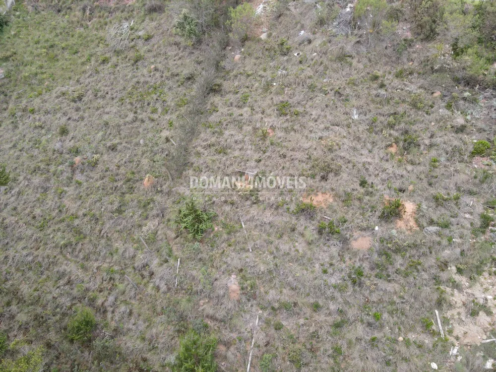 Terreno, 1100 m² - Foto 7