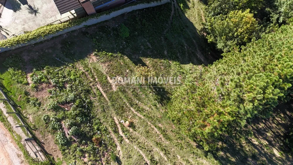 Terreno, 1290 m² - Foto 9