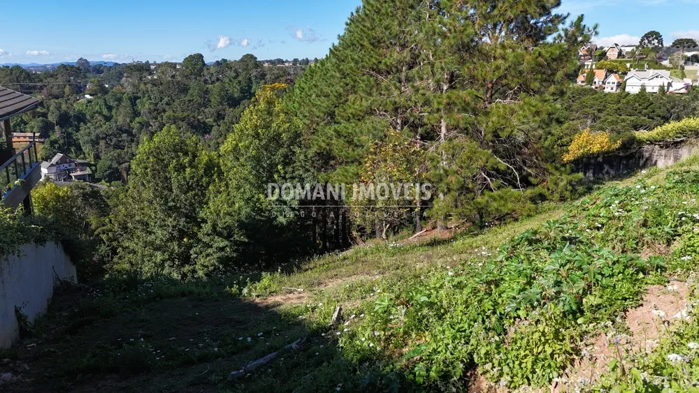 Terreno, 1290 m² - Foto 12