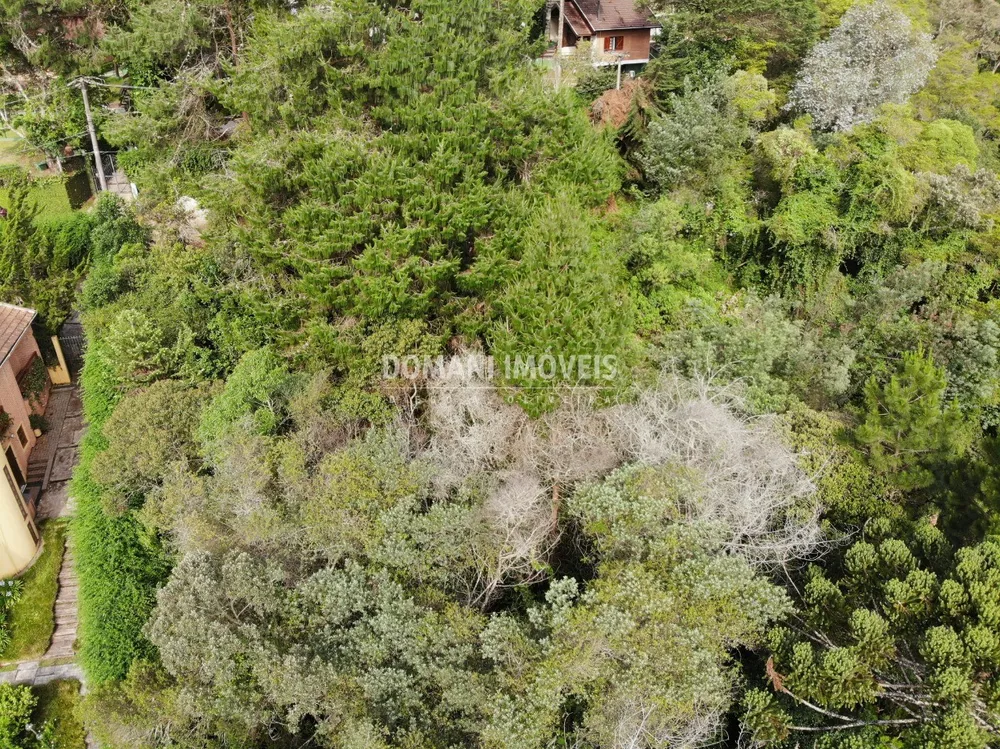 Terreno, 1760 m² - Foto 5