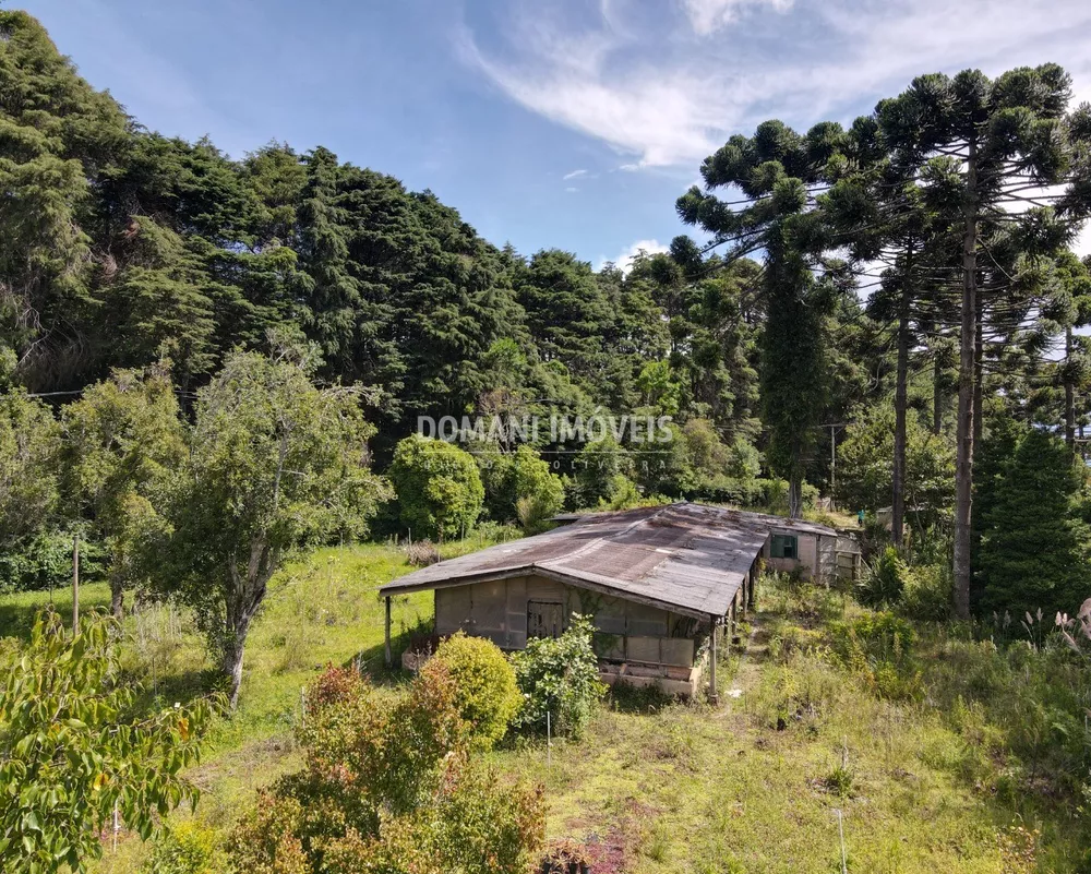 Terreno à venda - Foto 4