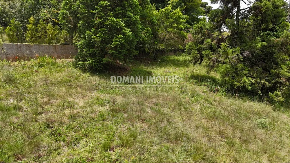 Terreno, 1095 m² - Foto 3
