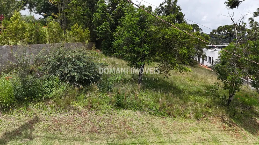 Terreno, 1095 m² - Foto 6