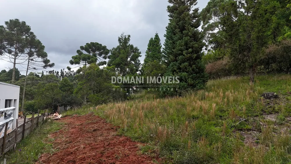 Terreno, 1095 m² - Foto 4