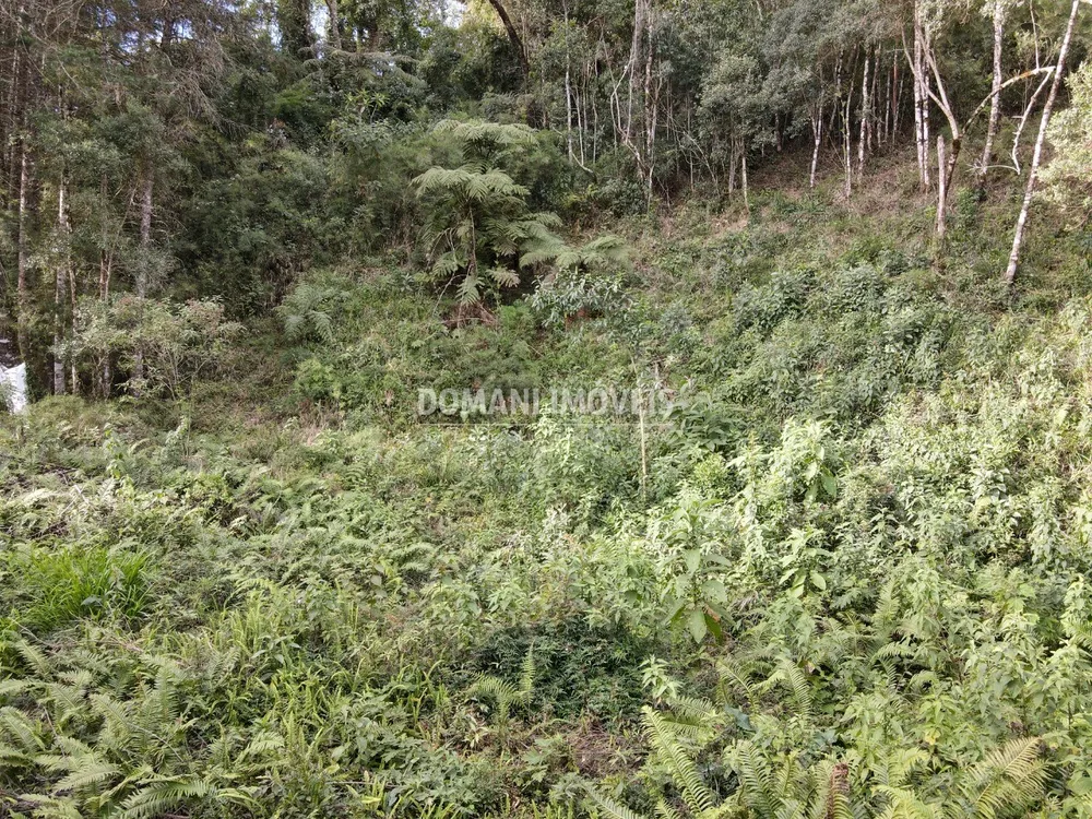 Terreno, 1655 m² - Foto 6