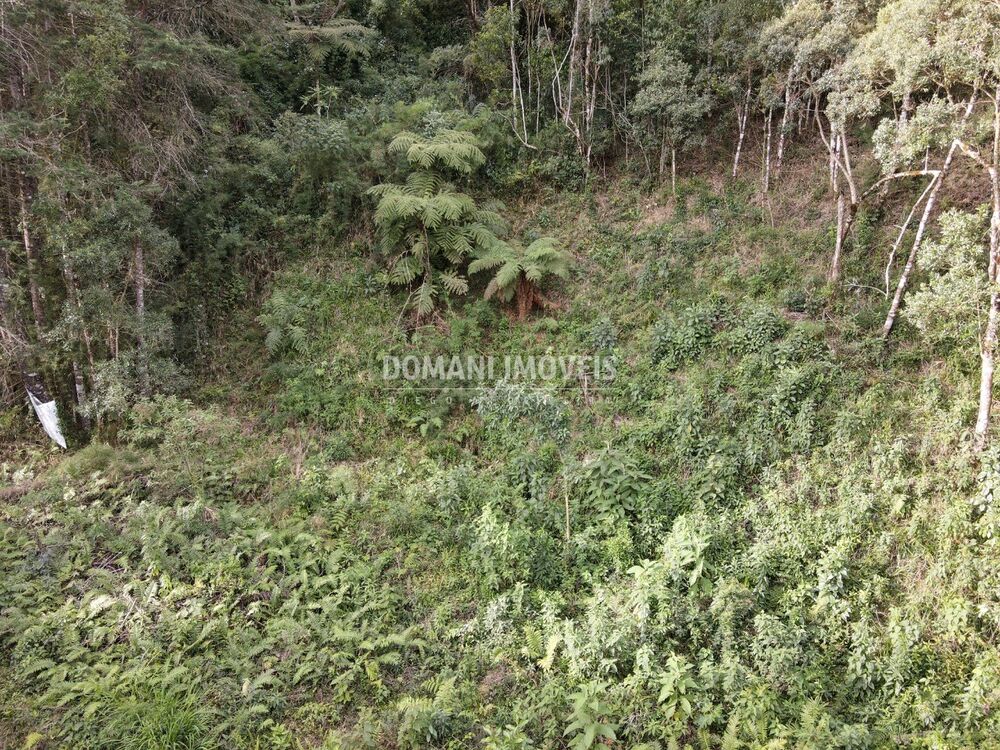Terreno, 1655 m² - Foto 4