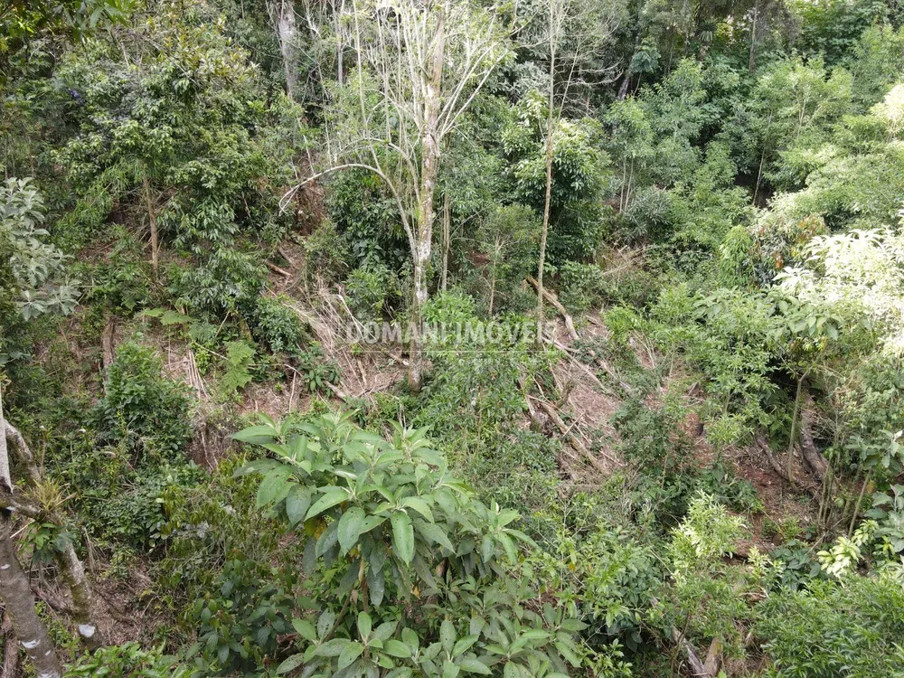 Terreno, 2050 m² - Foto 6