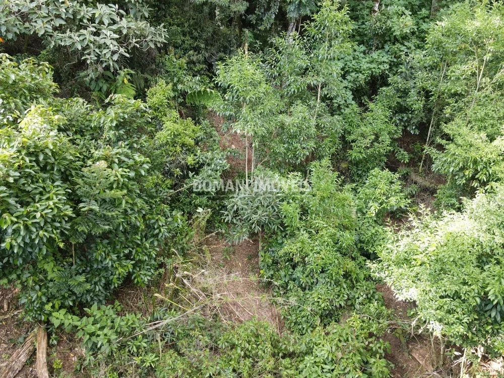 Terreno, 2050 m² - Foto 8