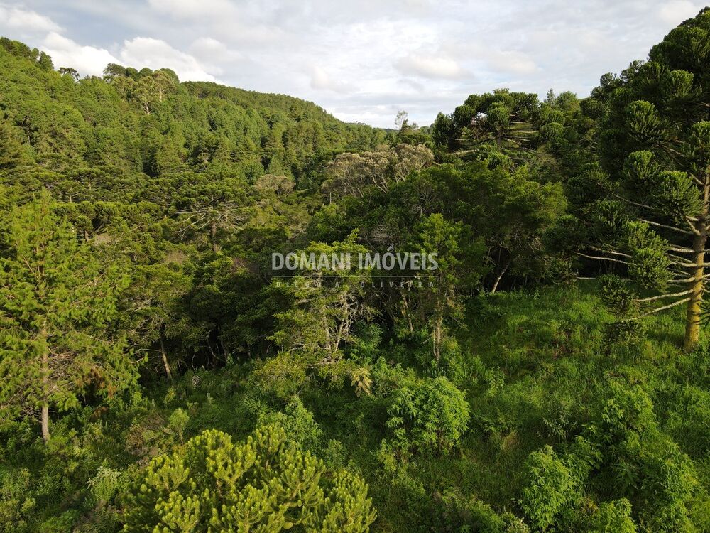 Terreno, 2100 m² - Foto 5