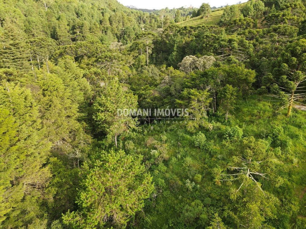 Terreno, 2100 m² - Foto 4