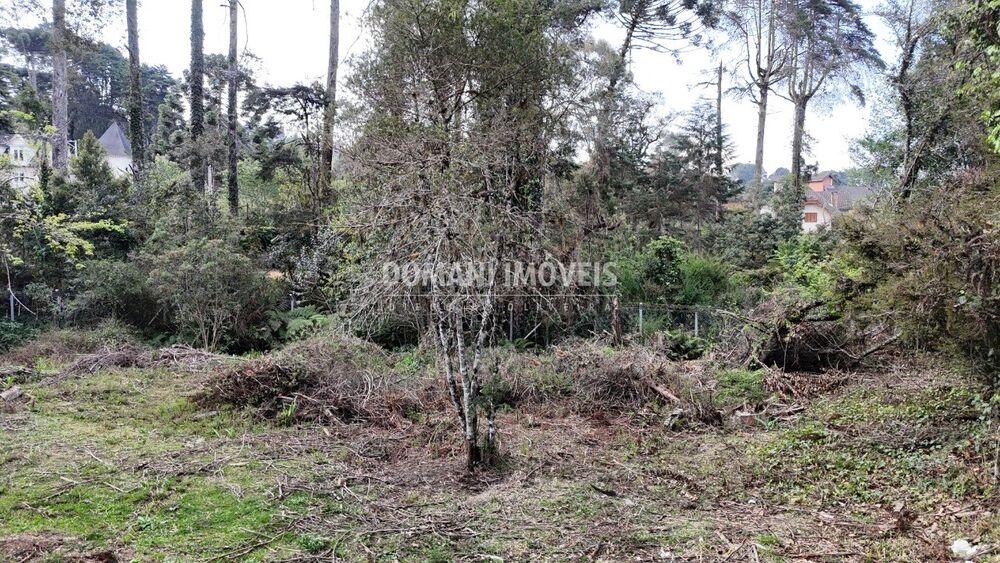 Loteamento e Condomínio, 1200 m² - Foto 1