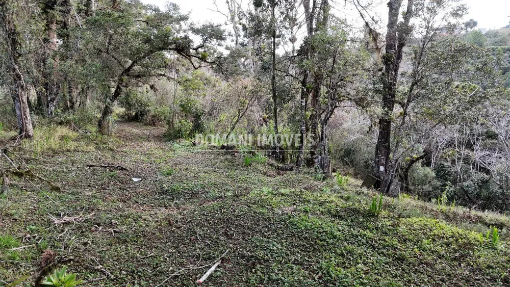 Terreno, 1030 m² - Foto 8