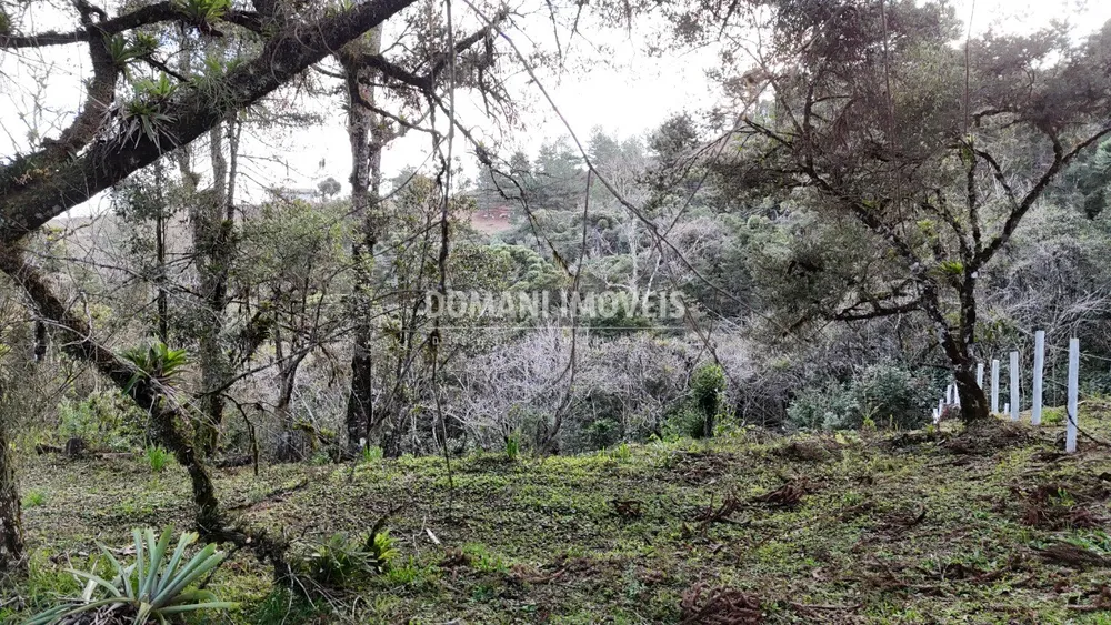 Terreno, 1030 m² - Foto 6