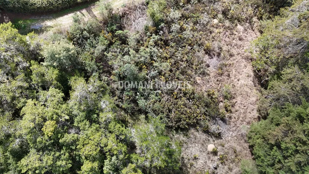 Terreno, 1010 m² - Foto 6