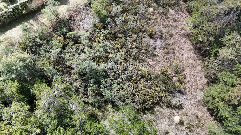 Terreno, 1010 m² - Foto 4