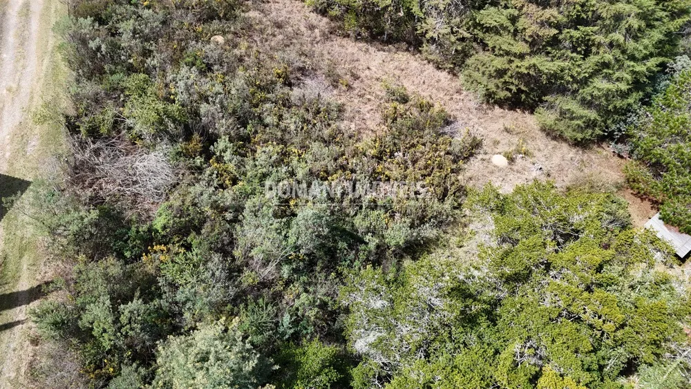 Terreno, 1010 m² - Foto 8