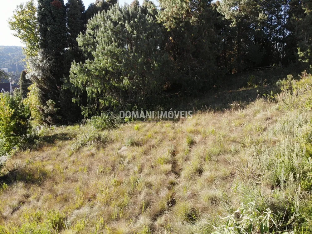 Terreno, 1600 m² - Foto 11