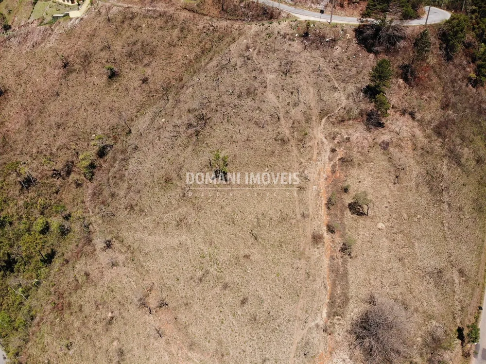 Terreno, 4 hectares - Foto 2