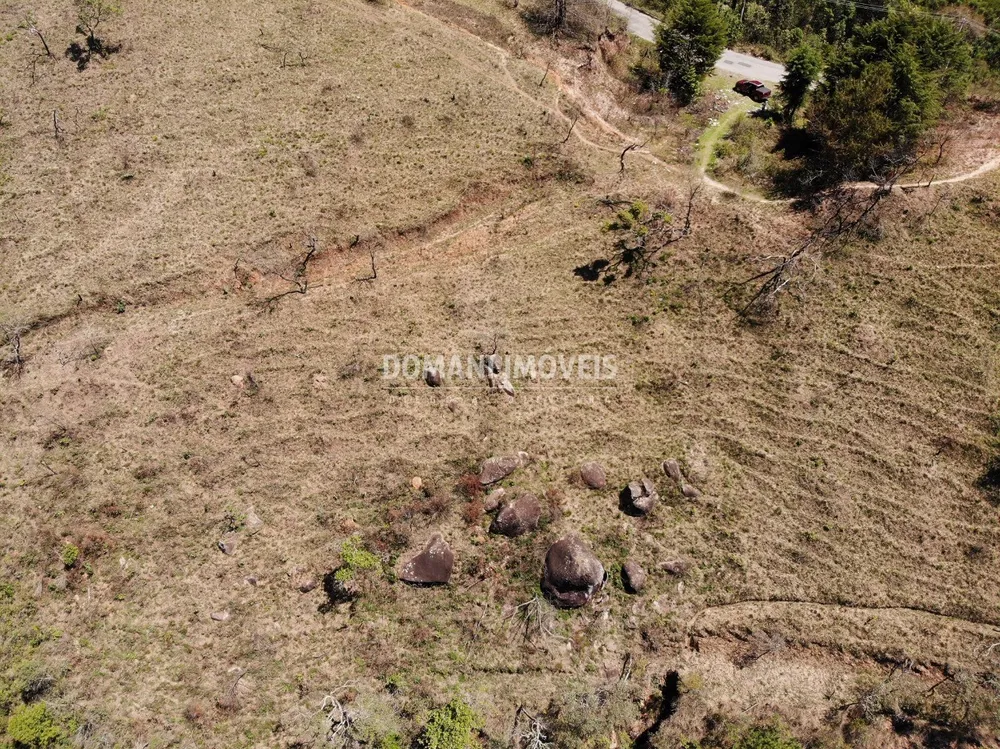 Terreno, 4 hectares - Foto 4
