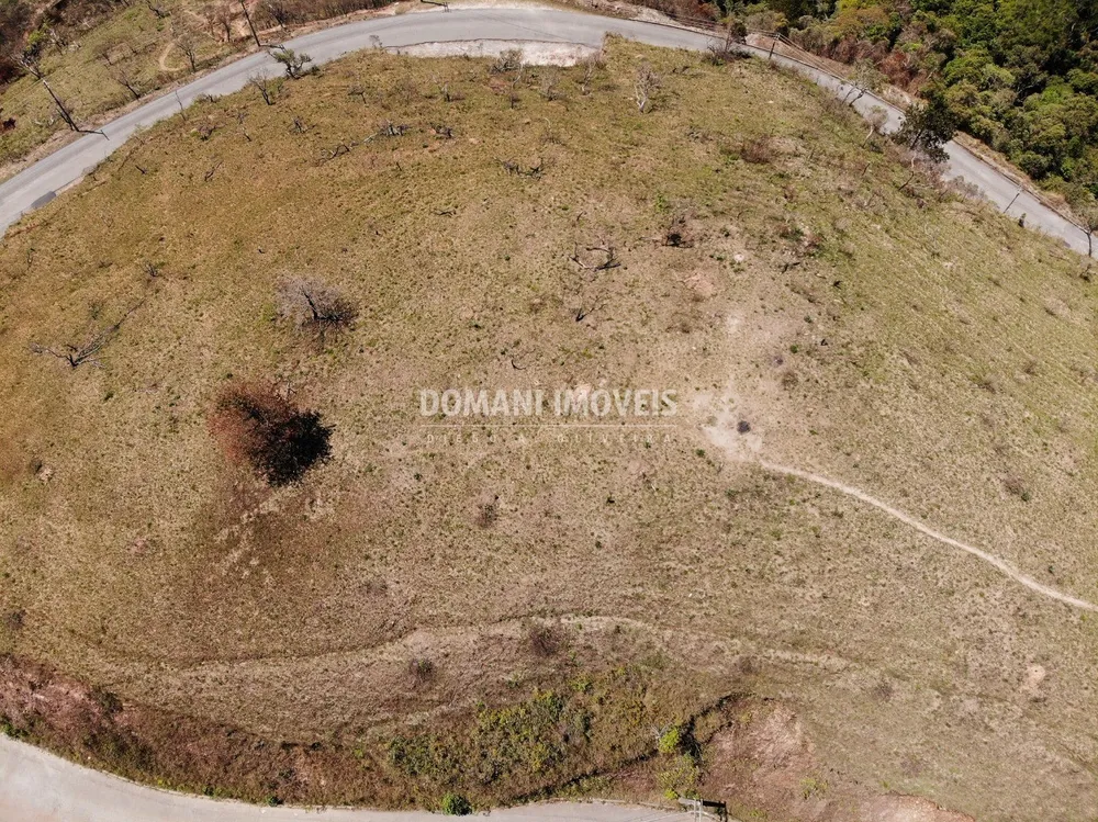 Terreno, 4 hectares - Foto 7
