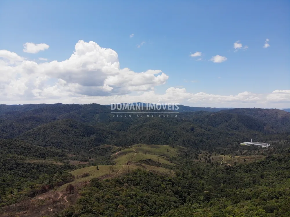 Terreno, 4 hectares - Foto 8