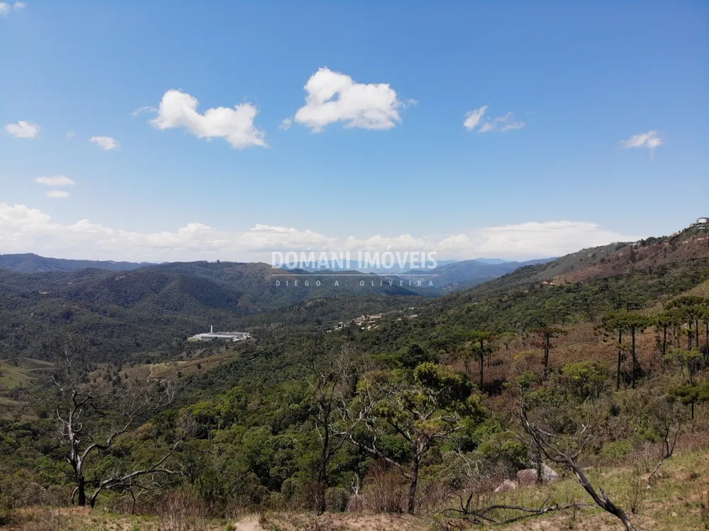 Terreno, 4 hectares - Foto 6