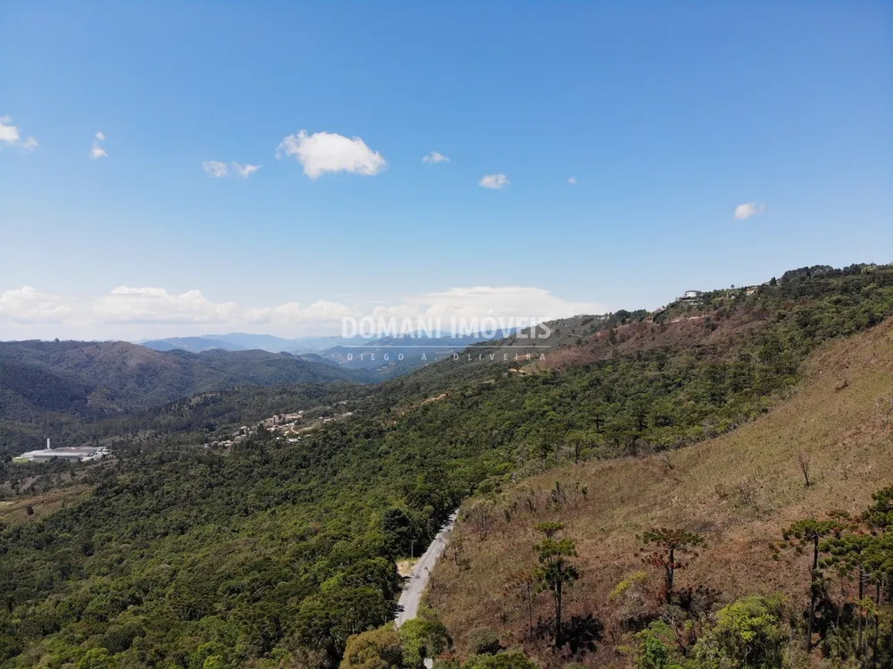 Terreno, 4 hectares - Foto 3