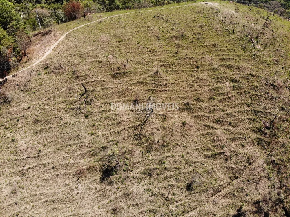 Terreno, 4 hectares - Foto 1