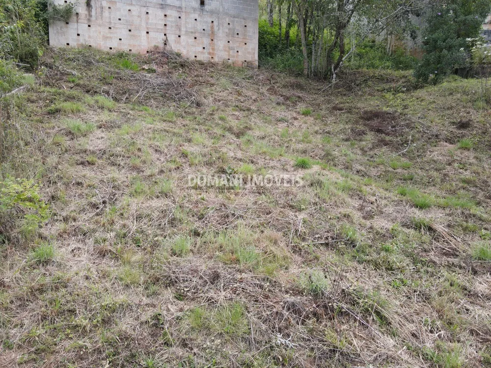 Terreno, 330 m² - Foto 1